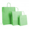 Sac kraft shopping Vert Spring intérieur blanc et poignées torsadées