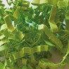 Frisure verte en papier froissé pour calage et décoration