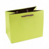 Sac Pelliculé Mat Bicolore Vert Anis/Marron - Sac Luxe personnalisable - EMBAL PLUS